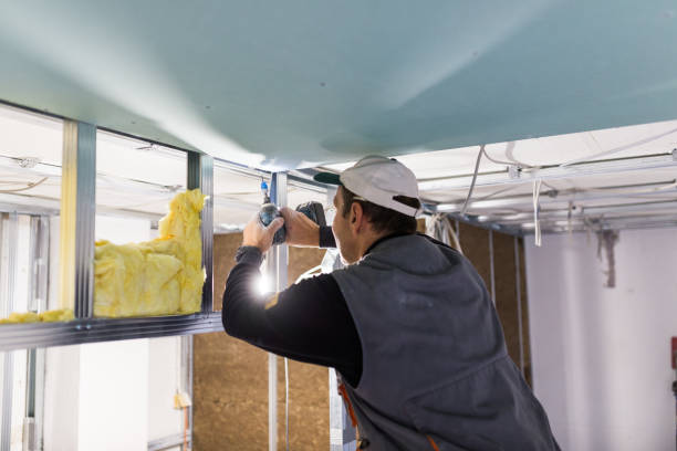 Best Insulation Removal Services  in Enola, PA