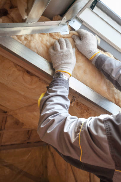 Best Insulation Removal  in Enola, PA